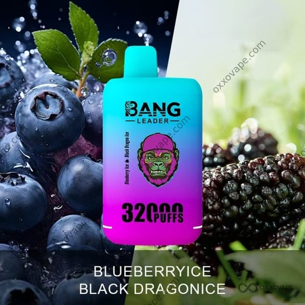 Bang Leader 32000 Blueberry Ice Black Dragon Ice box with dark purple dragon fruit artwork and frost effects
