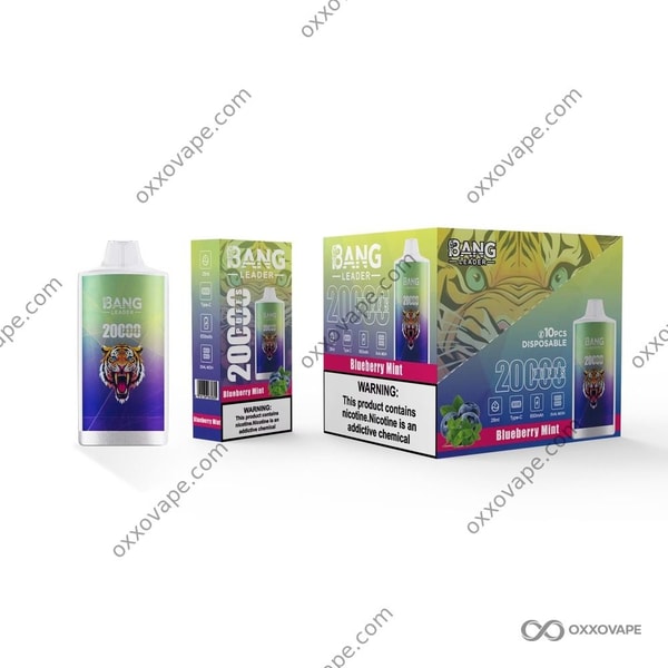 Blueberry Mint flavor box for Bang Leader 20000 vape with mint leaf and berry design