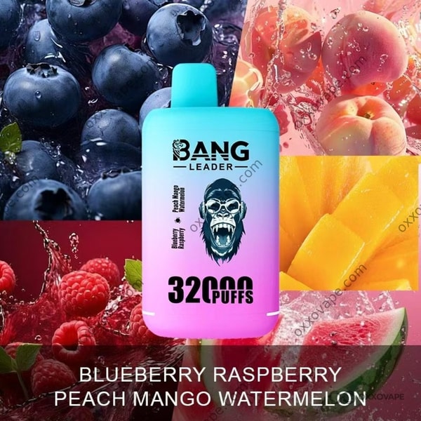 Bang Leader 32000 box art featuring blueberries and raspberries beside peach mango watermelon slices
