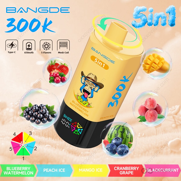 Bang DE 300000 flavor box showing Blueberry Watermelon, Peach Ice, Mango Ice, Cranberry Grape and Blackcurrant graphics