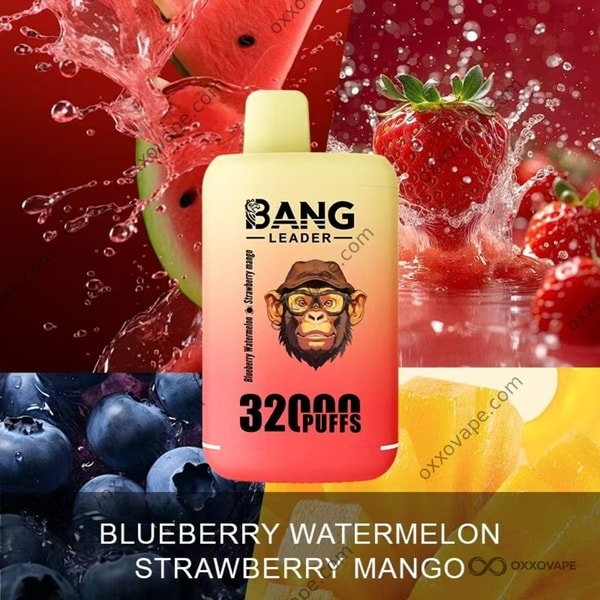 Bang Leader 32000 Blueberry Watermelon Strawberry Mango packaging with soft pink and blue fruit graphics
