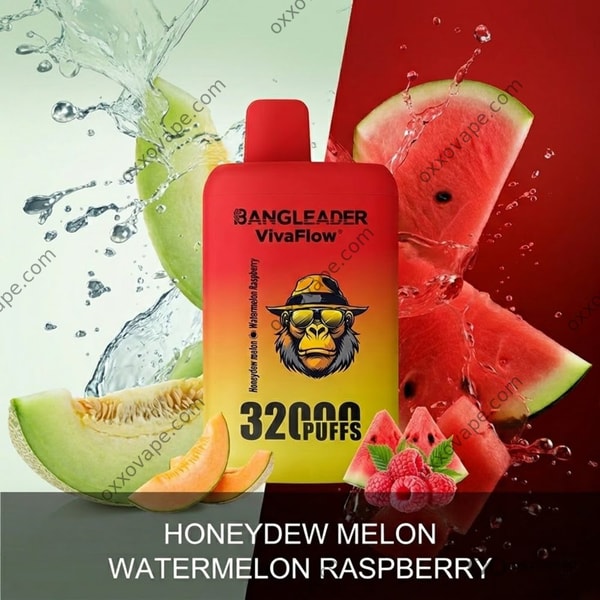 Bang Leader 32000 Honeydew Melon Watermelon Raspberry box with pale green melon and raspberry cluster art