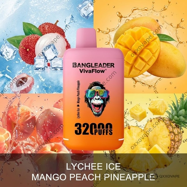 Bang Leader 32000 Lychee Ice Mango Peach Pineapple box featuring lychee fruit and tropical mix artwork