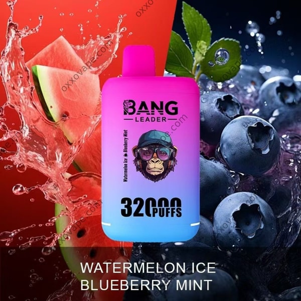 Bang Leader 32000 Watermelon Ice and Blueberry Mint box featuring green and blue frosted fruit artwork