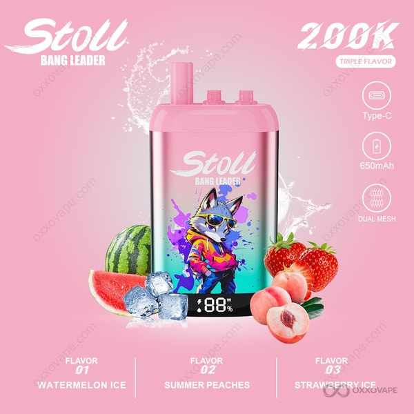 Bang Leader Stoll box for Watermelon Ice Summer Peaches Strawberry Ice flavor trio with pink and green summer artwork
