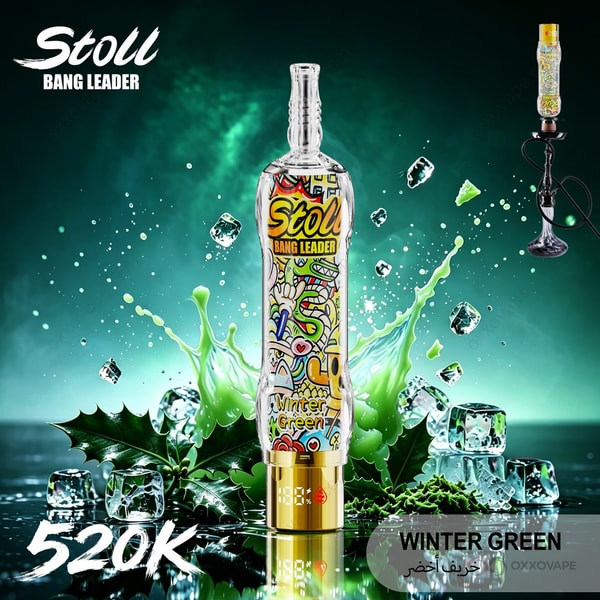 Winter Green flavor packaging of Bang Leader Stoll 520000 with frosty green leaves design.